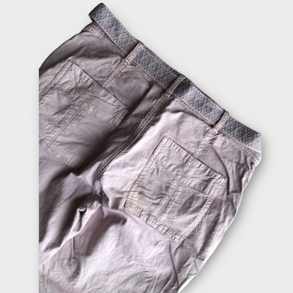 Anthropologie Women's 30 Pink Belted Wanderer Twill Ankle Pants Straight Leg - Picture 4 of 11